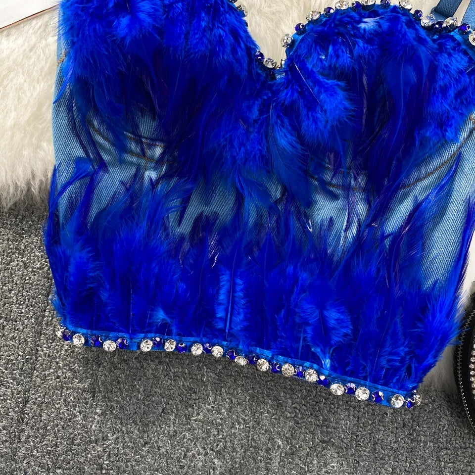 Blue Bird Corset Top
