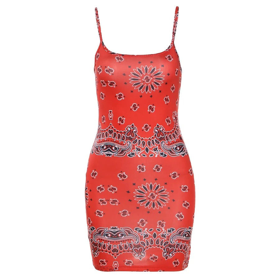 Paisley Mini Dress