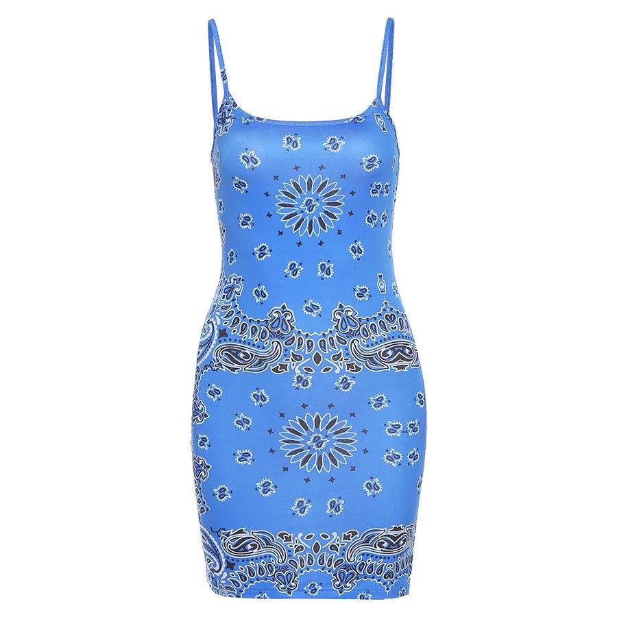 Paisley Mini Dress